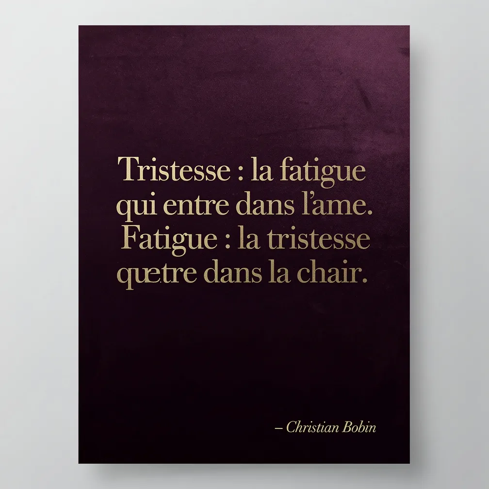 Citation de Christian Bobin : Tristesse la fatigue qui entre dans l ame - verbiage.fr